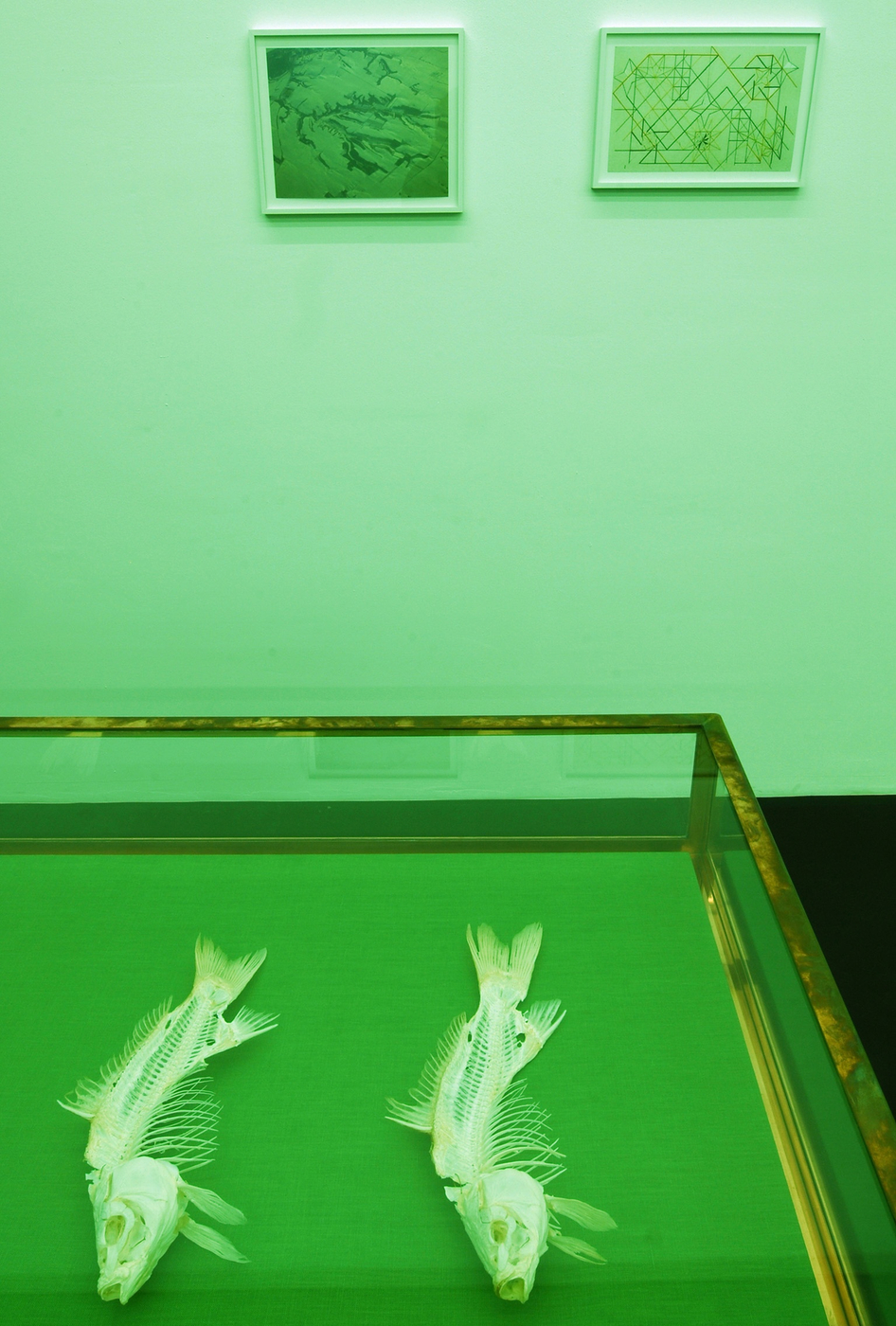 Mb Foto Ivo Corra Courtesy Museion Bozen K082721