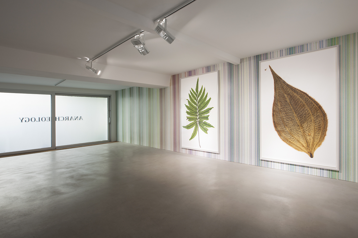 Ck Inst View Anarcheology 2014 1