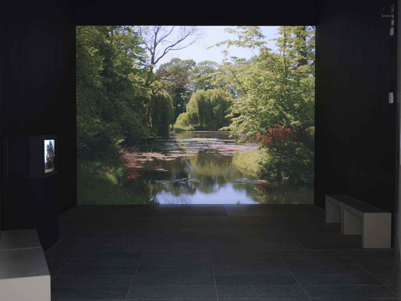 20250527 Musee De L Orangerie Contrepoint Contemporain David Claerbout Vex0036