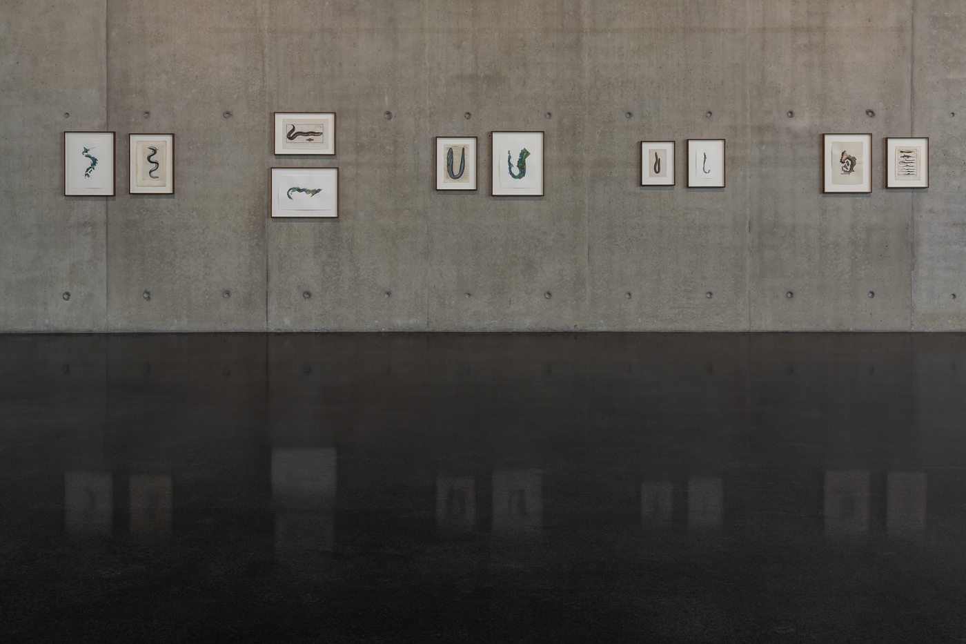 Sala Eg Maps Species U4A2862 Markus Tretter C Anri Sala Bildrecht Wien 2021 Kunsthaus Bregenz