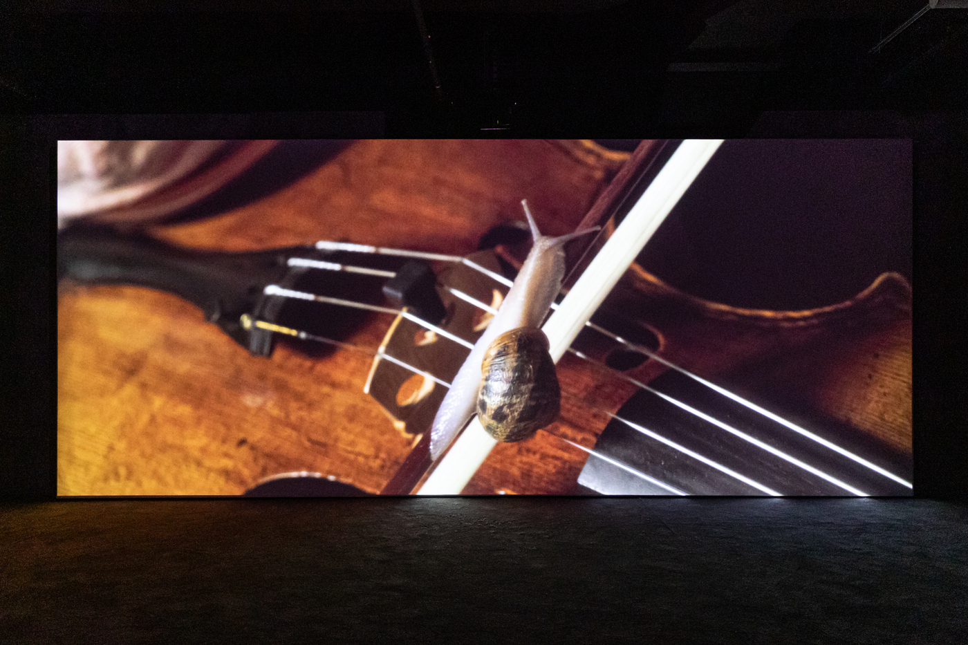 210719 Anrisala Adriandeweerdt 38