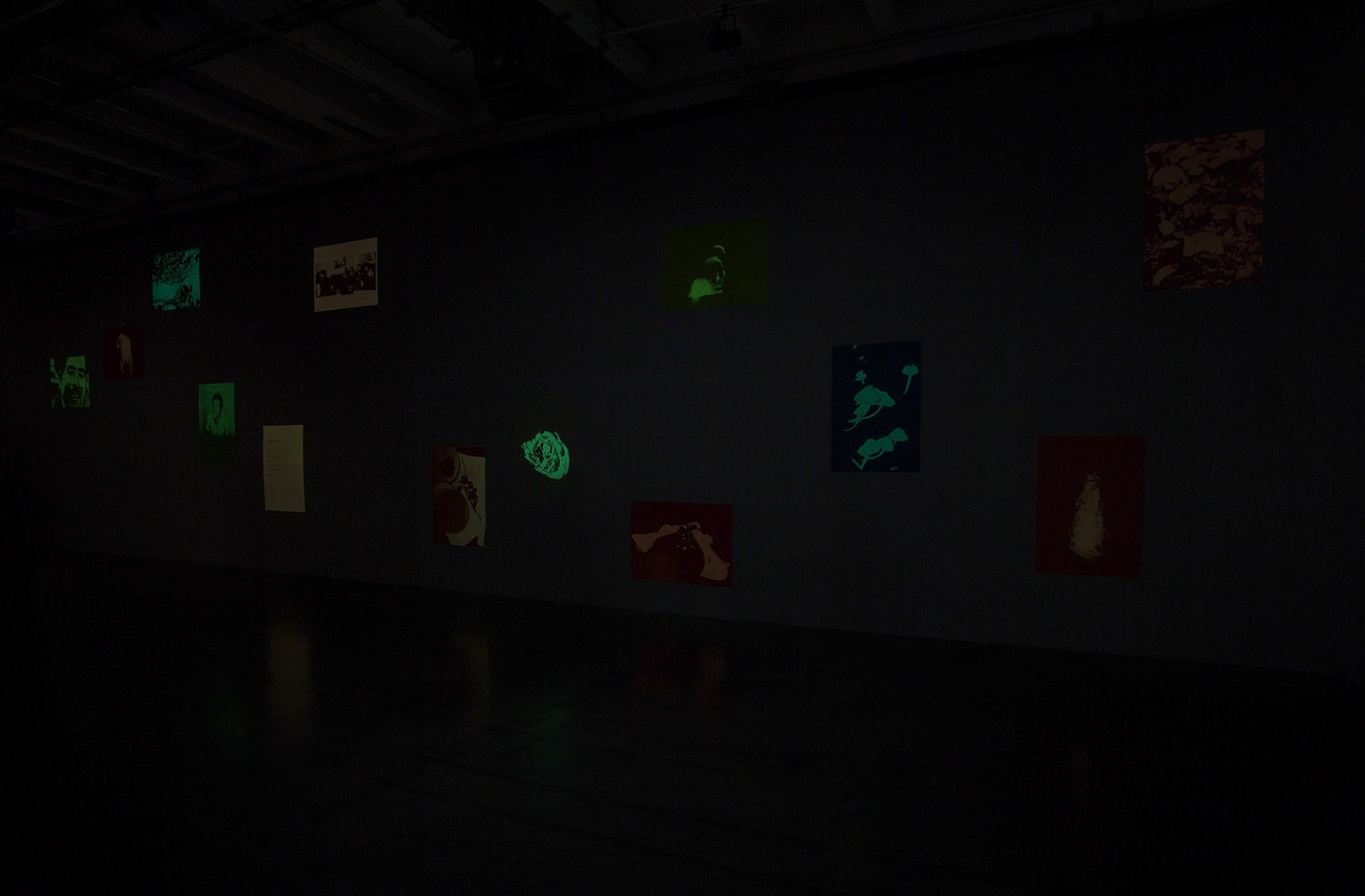 Pp Installation View Pp185 02B