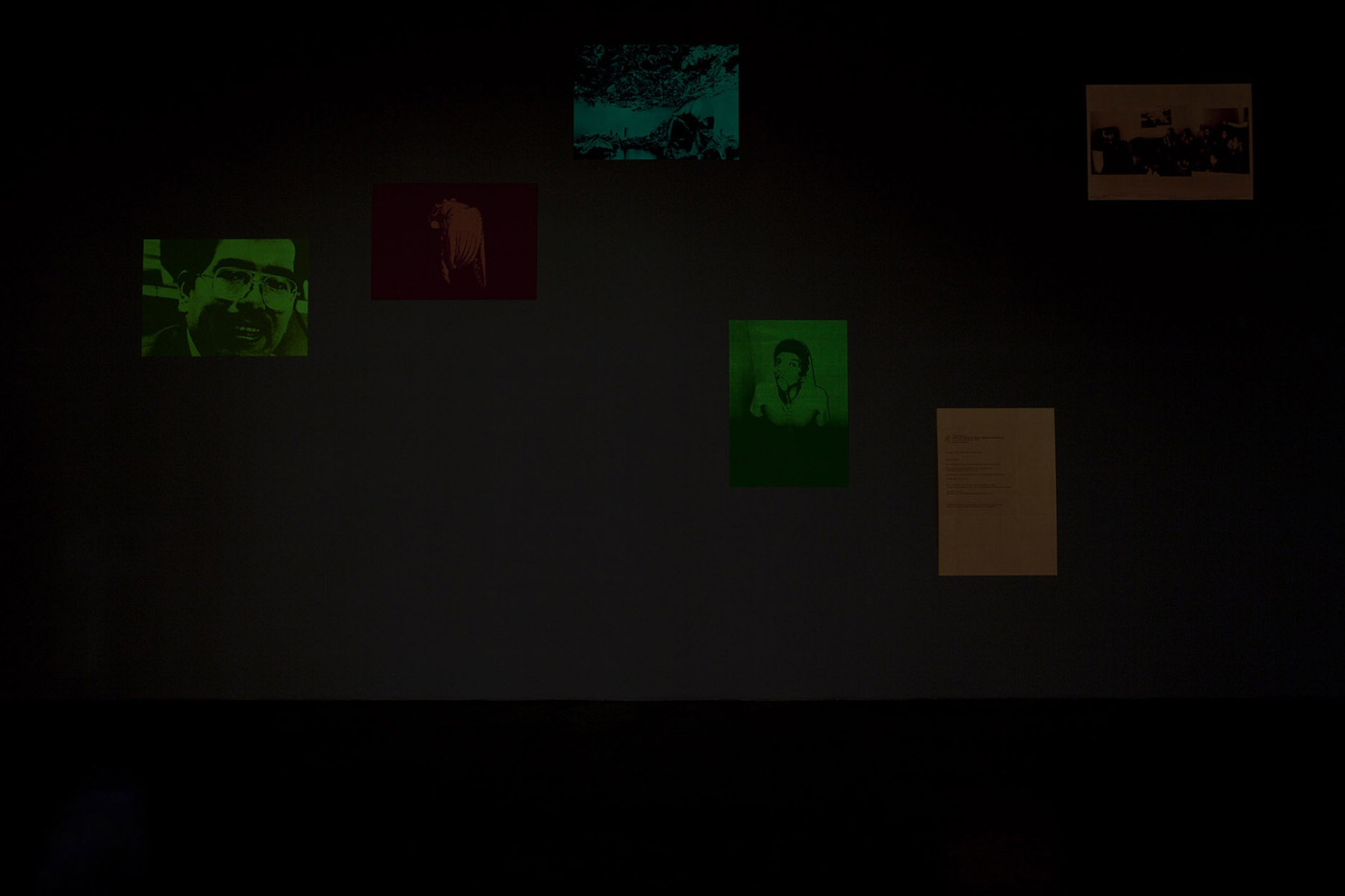 Pp Installation View Pp185 04B