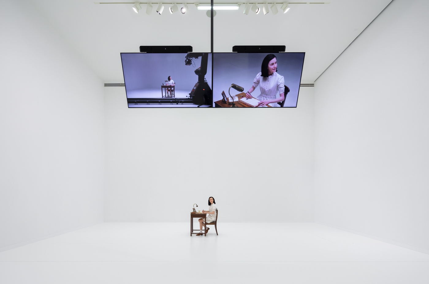 Syjuco Fujiwara 24 V1