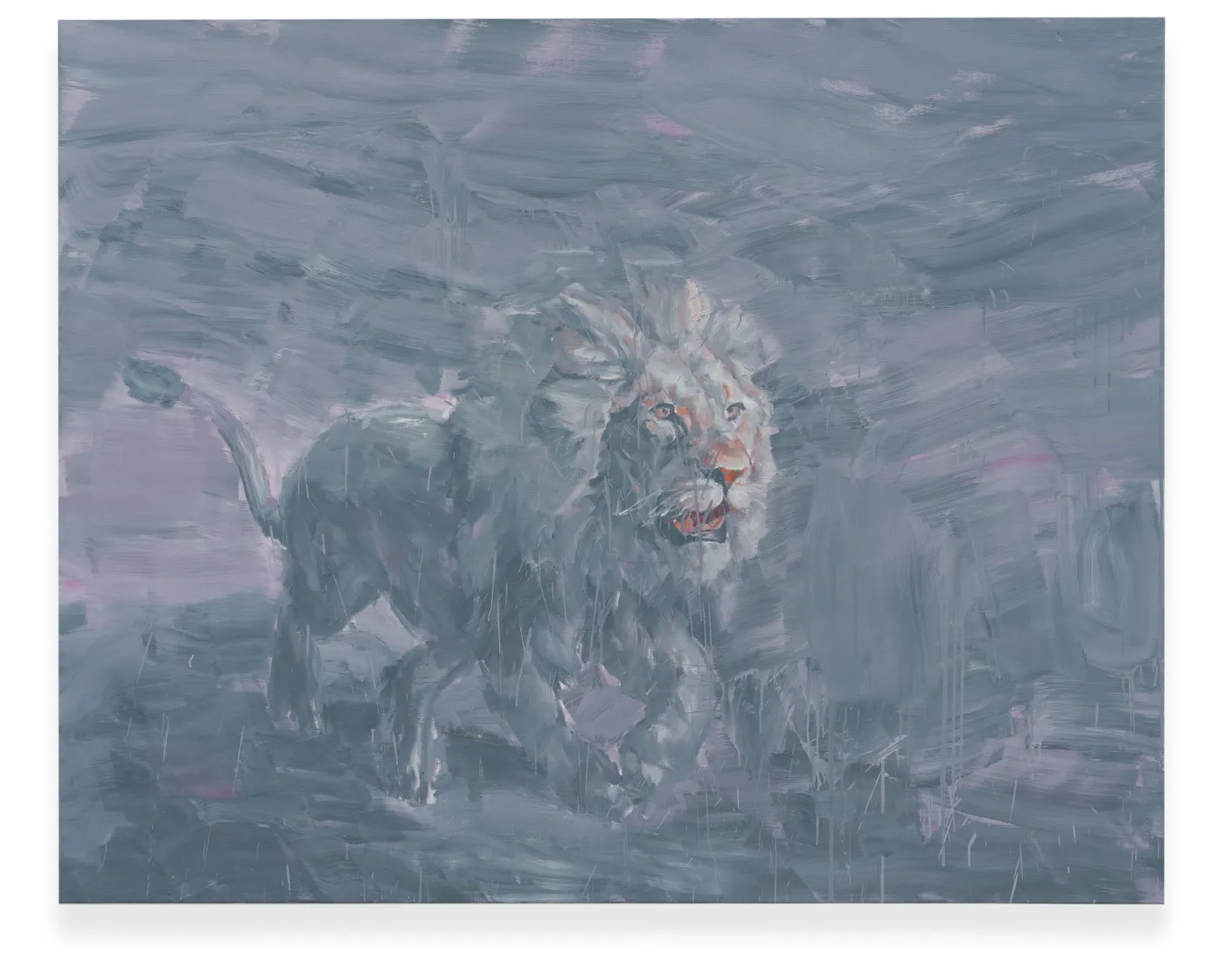 Yan Pei-Ming Wild Majesty, 2025 Oil on canvas 200 x 250 cm (78.74 x 98.43 in)