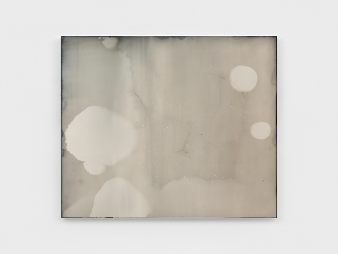 P&aacute;draig Timoney NY Ag, 2024