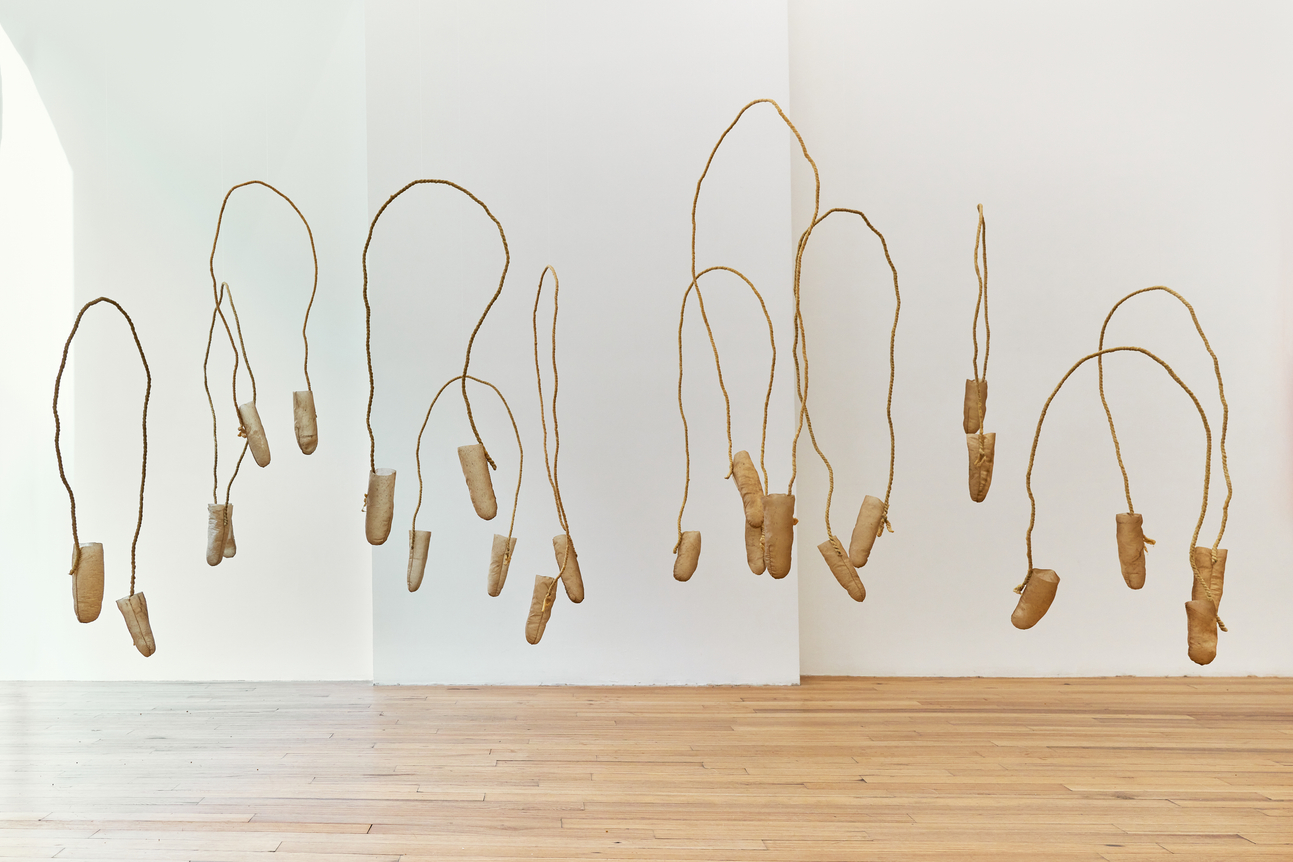 Sonya Kelliher-Combs Natural Idiot Strings, 2023