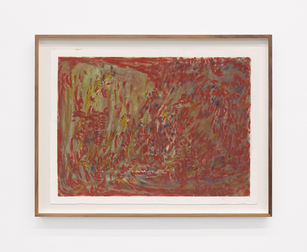 Sophia Loeb ClareaELa, 2024