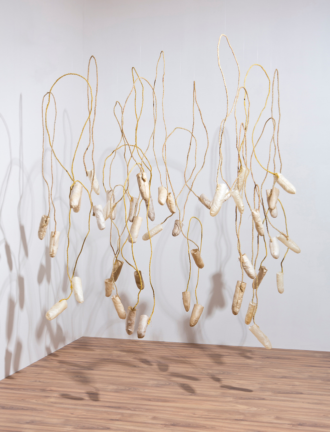 Sonya Kelliher-Combs Gold Idiot Strings, 2013