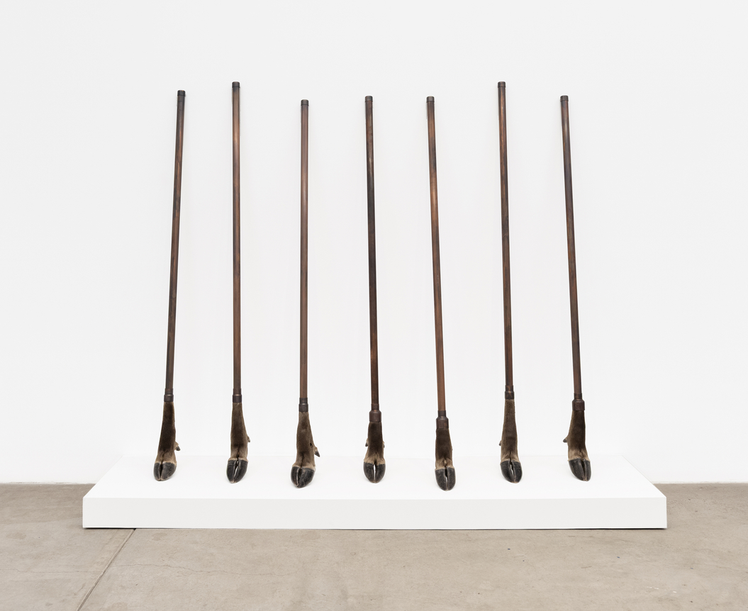 Sonya Kelliher-Combs Tuttu Vait, 2026