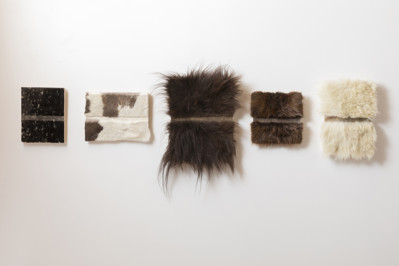 Sonya Kelliher-Combs Mark, Seal, Caribou, Musk, Ox, Beaver, Polar Bear, 2017
