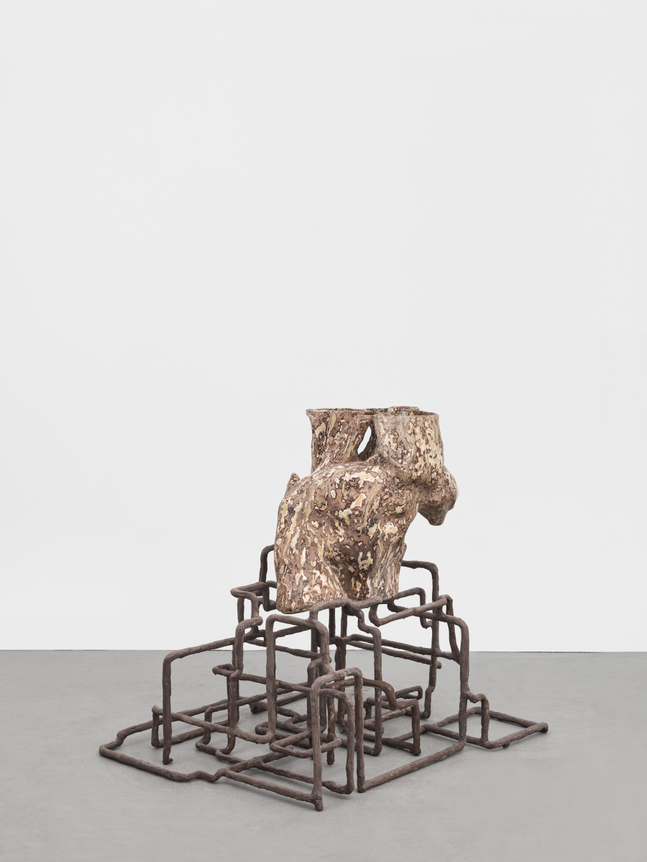 Jes Fan Cross Section (Right Leg Muscle I), 2023