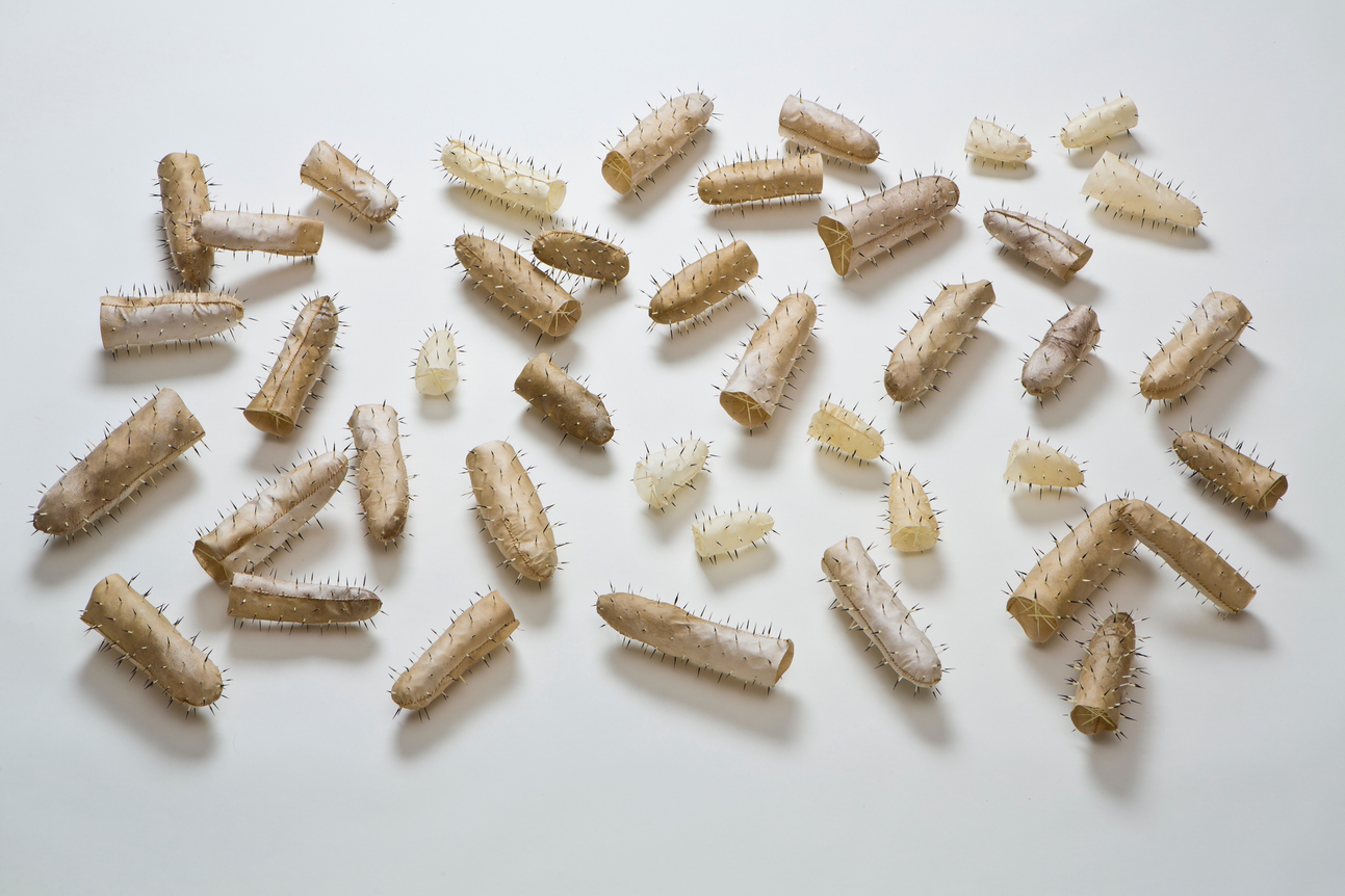 Sonya Kelliher-Combs Guarded Secrets, 2013