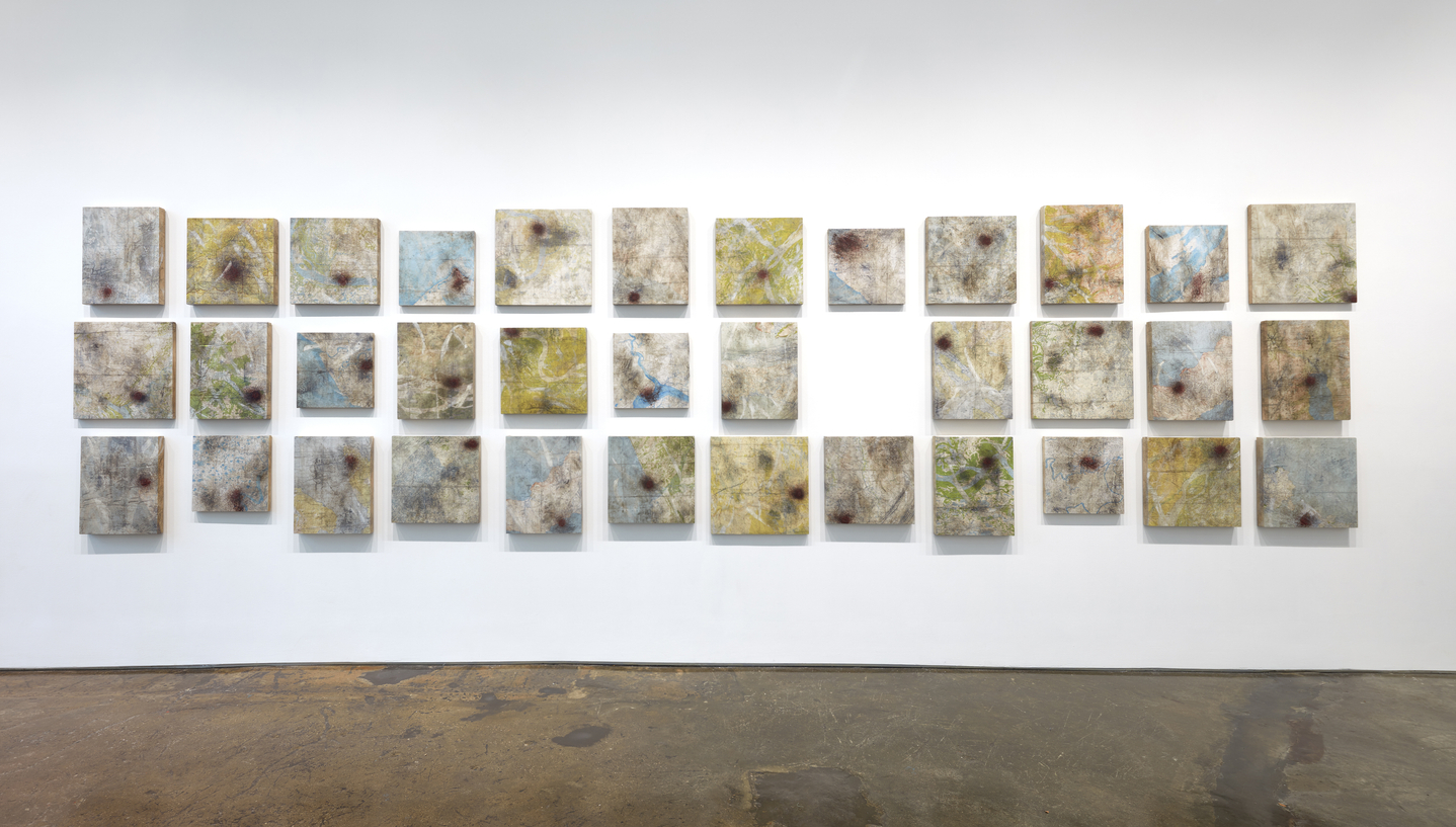 Sonya Kelliher-Combs Credible, 2019