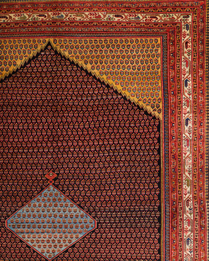 close up of saraband