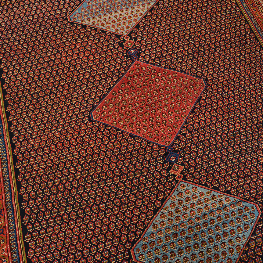 close up of saraband