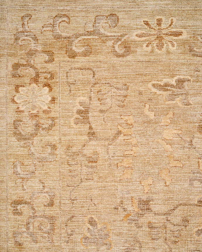 close up of coraline