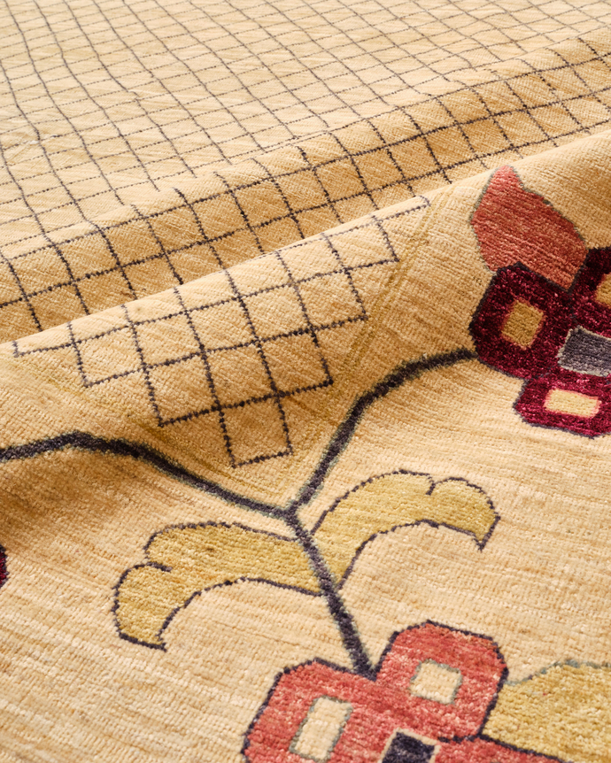 close up of fereghan