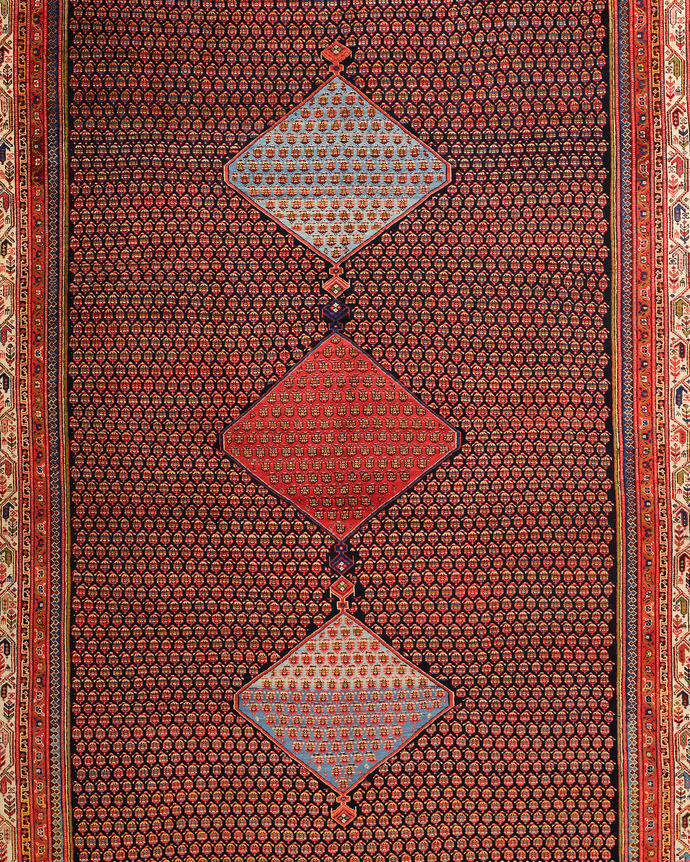 close up of saraband