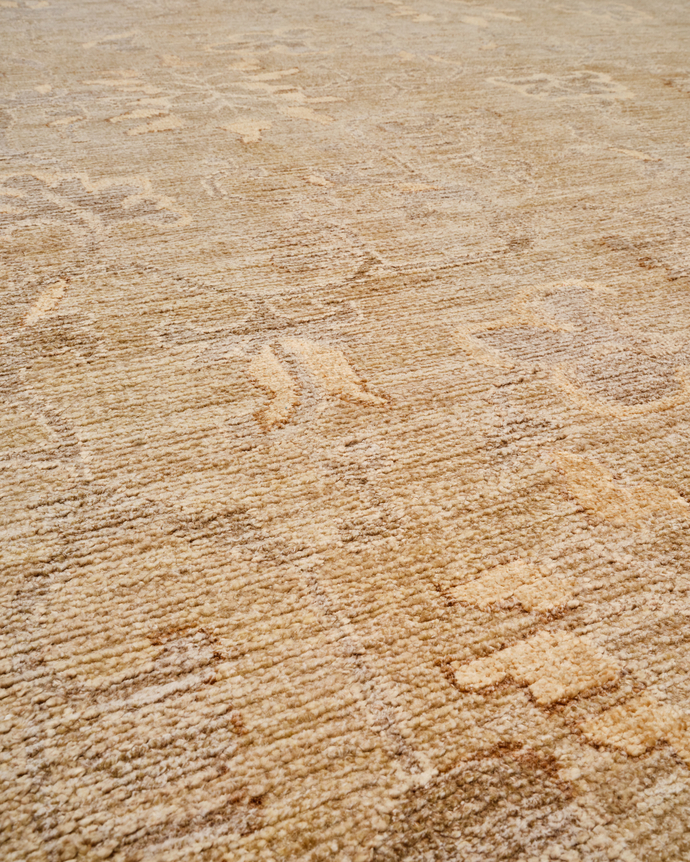 close up of coraline