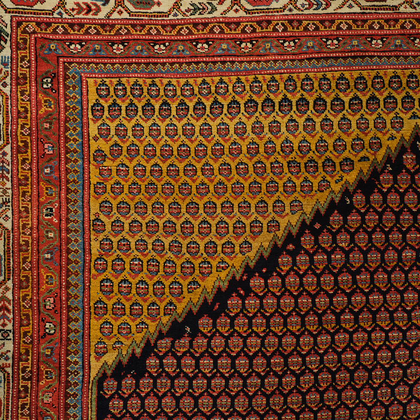 close up of saraband