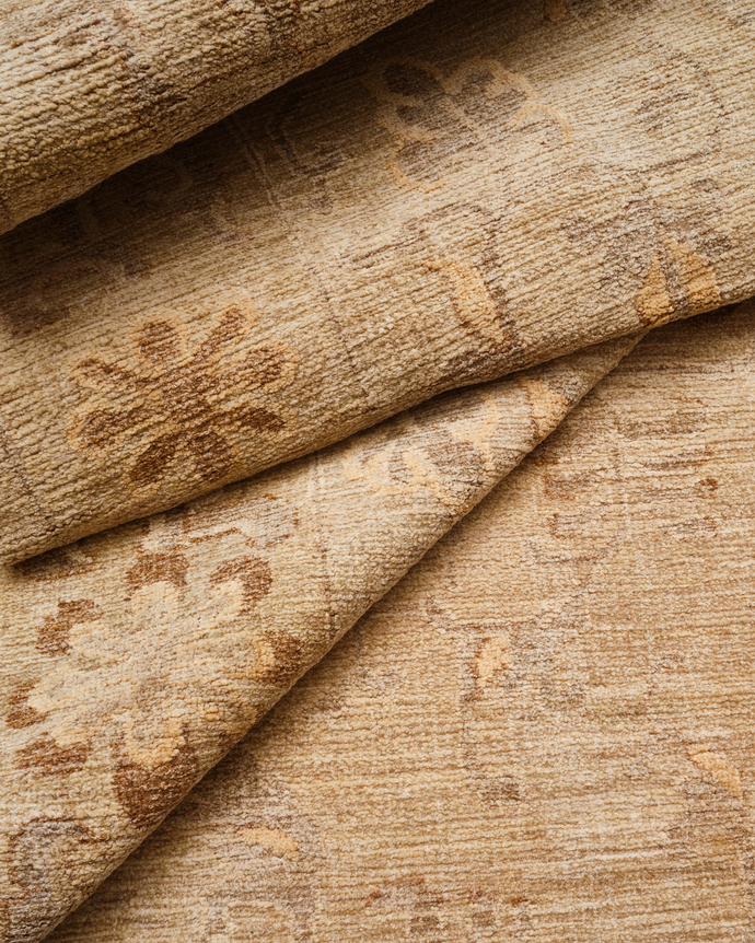 close up of coraline