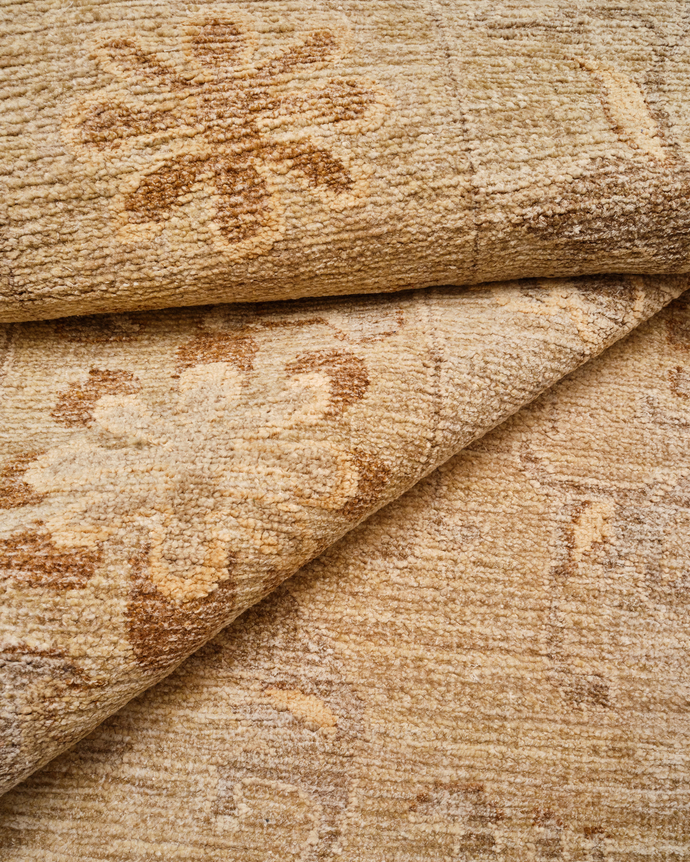 close up of coraline