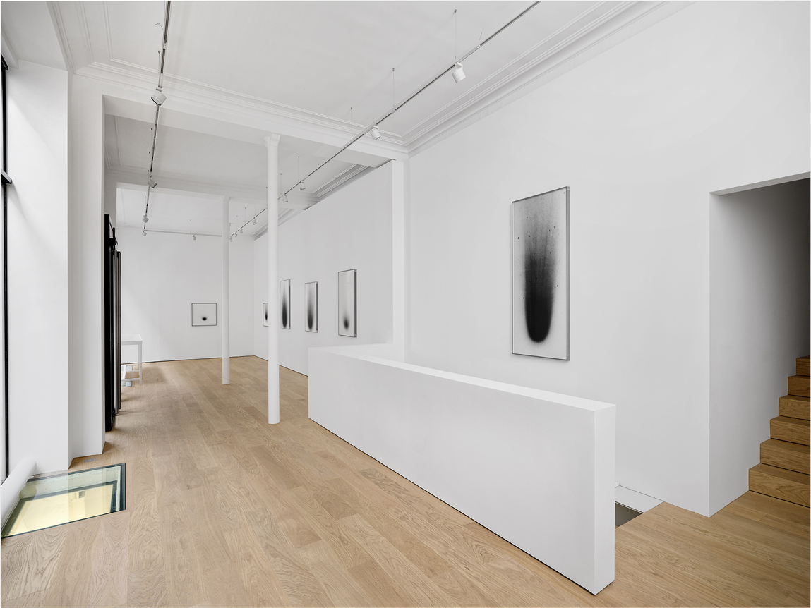 Dove Allouche: CHNOPS, installation view