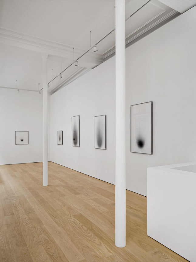 Dove Allouche: CHNOPS, installation view
