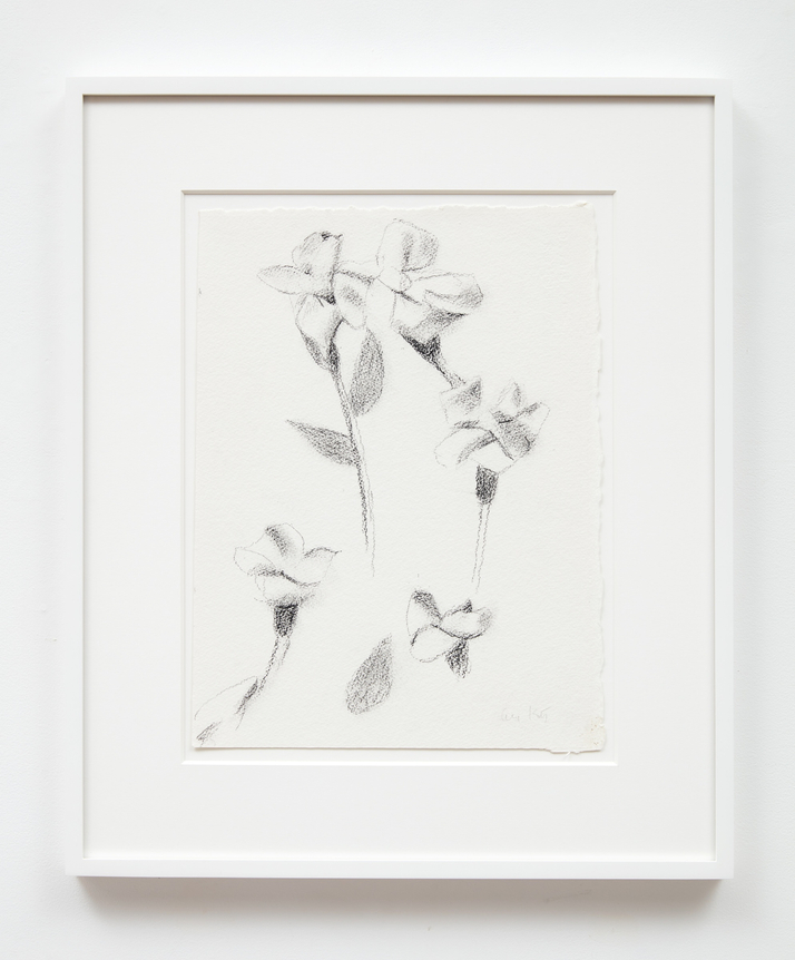 Alex Katz, Drawing for Carnations 1, 2 and 3 (3), 2022