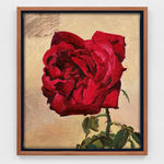 Kent O'Connor, Kyle, 2025