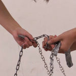 Monica Lam, Harmonies of Resonance, 2025