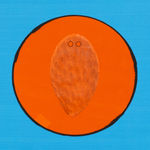 Julien Meert, Untitled « Sant Carles », 2024