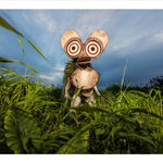 Wylda Bayrón, Sepik Bandi , 2014