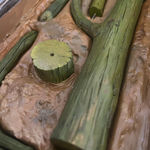 Cactus Box by Wes Mills