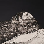 lithograph by Fritz Scholder