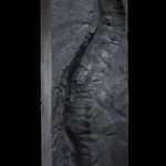 Dean Pulver, Positive and Negative, 2022