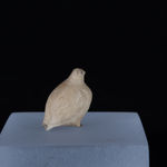 Unidentified Nunatsiavut / Non-identifié Nunatsiavut, Caribou, Ca. 1890-1900