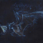 Avish Khebrehzadeh, Falling Horse in Battle (animation drawing), 2008