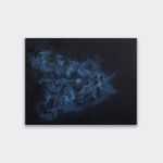 Avish Khebrehzadeh, White Peacock, 2008