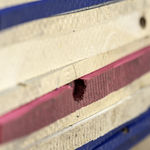 Zé Tepedino, Bolo e champanhe, 2021