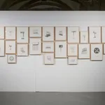 Joan Pallé, Negativeland. El espectador, 2018