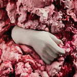 Marina Vargas, Sin título. Placas fotográficas originales de colodión, 2015