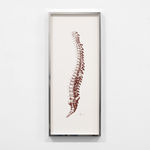 Joan Pallé, Hombre en llamas IV, 2026