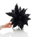 Vezzini and Chen, By the Wind Sailor Light, 2024