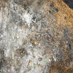 Agata di Masternak, Galaxy series Nb 3, 2016