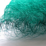 Bozena Kaluga, Wednesday, 2002