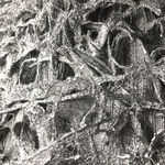 Bozena Kaluga, Wednesday, 2002