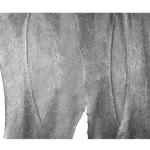 Bozena Kaluga, Wednesday, 2002