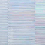 Jarbas Lopes, Pintura Elástica, 2019